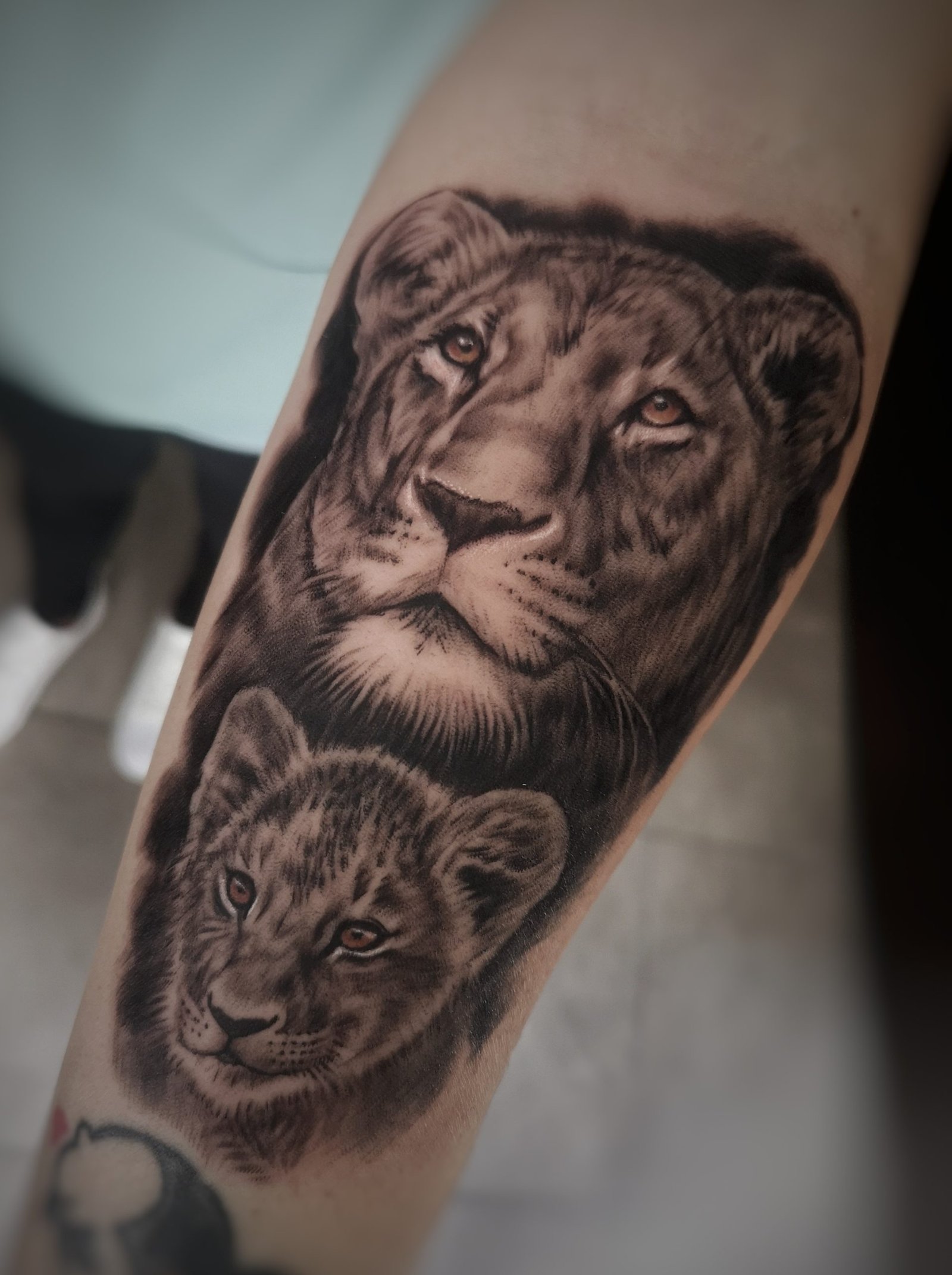 Tatuajes de leones - ZUK Tattoo Piercing