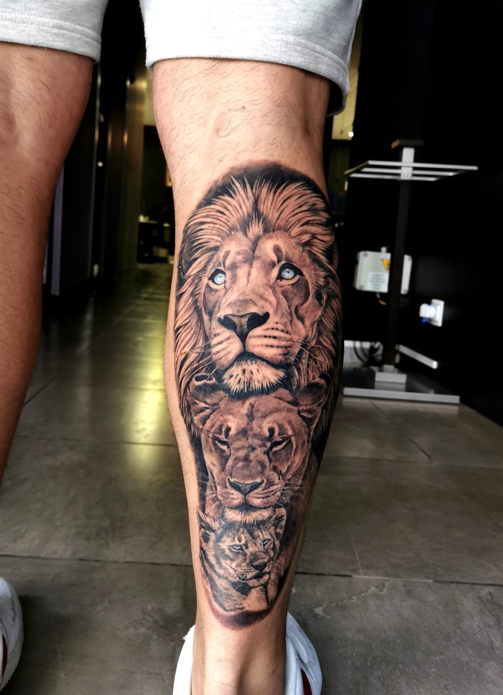 Tatuajes de leones - ZUK Tattoo Piercing